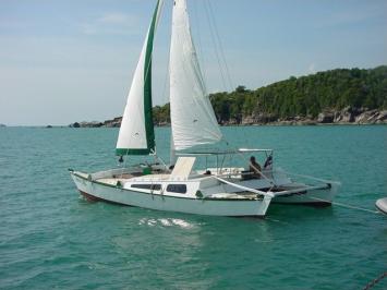 Vendo Catamarn Tiki 30 diseño James Wharra - Imagen 1